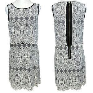 Kensie Lace Tiered Shift Dress Ivory Black Gold Zip Feminine Office Party Large